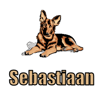 Sebastiaan