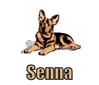 Senna namen bilder