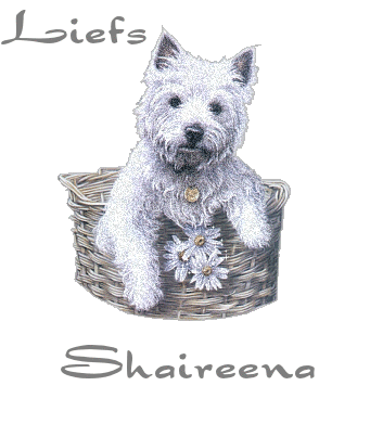 Shaireena