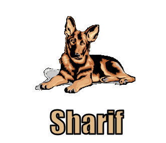 Sharif namen bilder