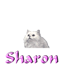 Sharon namen bilder