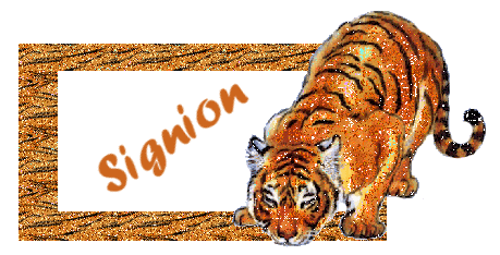 Signion namen bilder