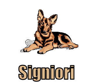 Signiori namen bilder