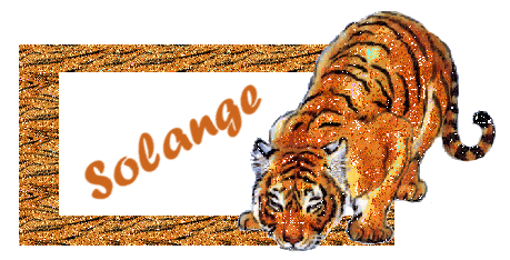 Solange namen bilder