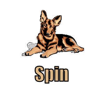 Spin namen bilder