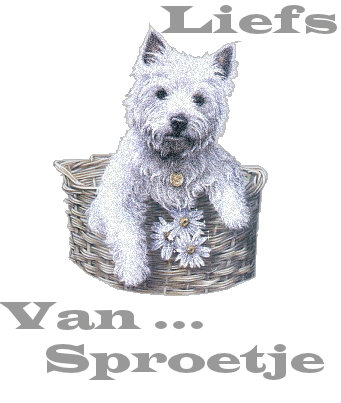 Sproetje namen bilder