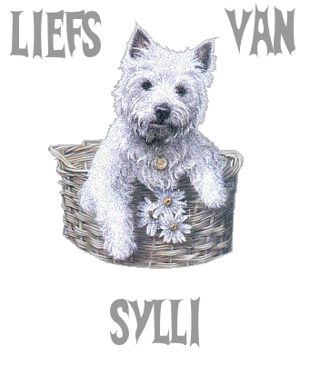 Sylli namen bilder