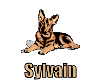 Sylvain namen bilder