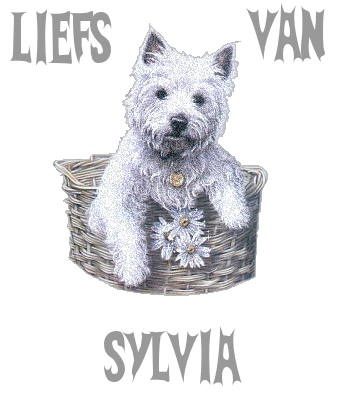 Sylvia namen bilder