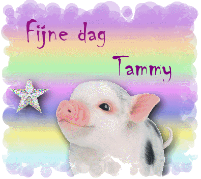 Tammy namen bilder
