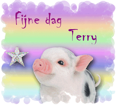 Terry namen bilder