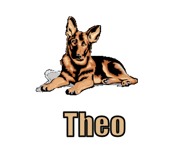 Theo namen bilder