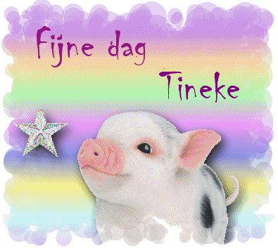 Tineke namen bilder