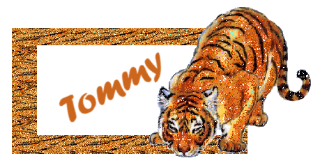 Tommy namen bilder