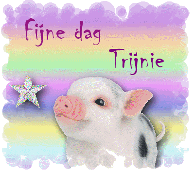 Trijnie namen bilder