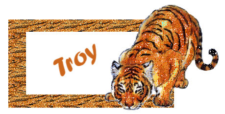 Troy namen bilder