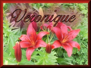 Veronique namen bilder