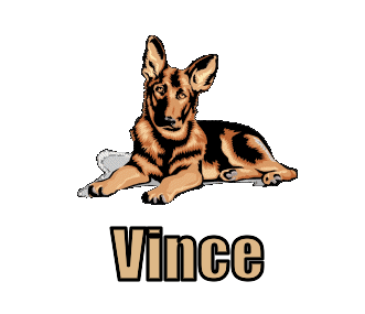 Vince namen bilder