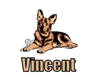 Vincent namen bilder