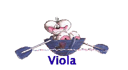 Viola namen bilder