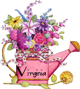 Virginia namen bilder