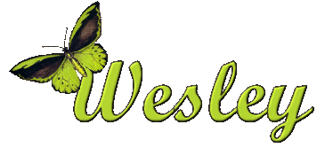 Wesley namen bilder