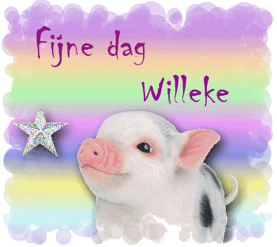 Willeke namen bilder