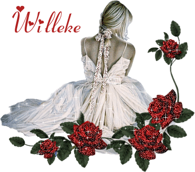 Willeke namen bilder