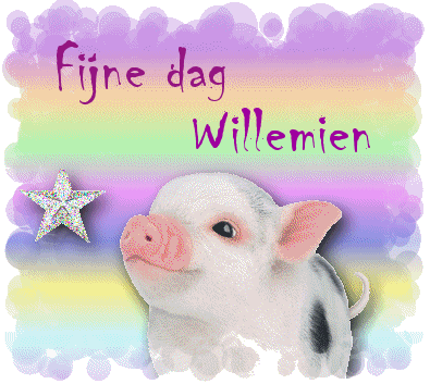 Willemien namen bilder
