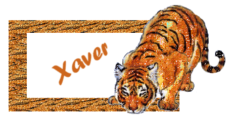Xaver namen bilder