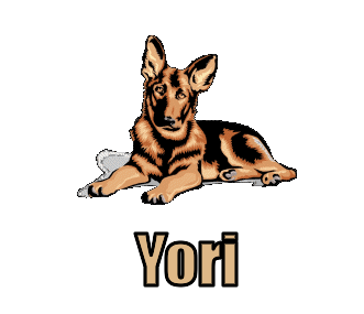 Yori namen bilder