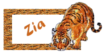 Zia namen bilder