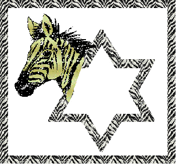 Zia namen bilder