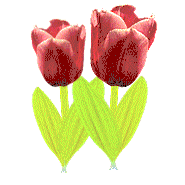 Blumen ostern bilder