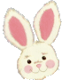 Hase ostern bilder