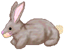 Hase