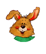 Hase ostern bilder