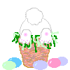 Hase ostern bilder