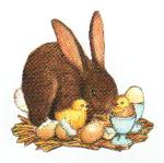 Hase ostern bilder