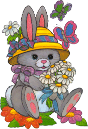 Hase ostern bilder