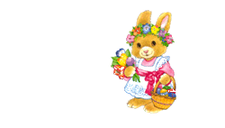 Hase ostern bilder