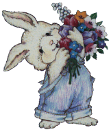 Hase ostern bilder