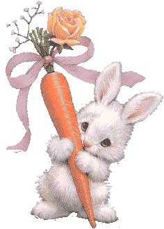 Hase ostern bilder