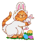 Hase ostern bilder