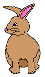 Hase ostern bilder