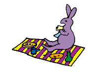Hase ostern bilder