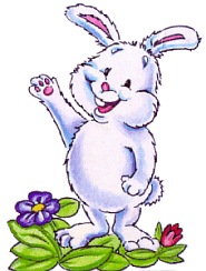 Hase ostern bilder