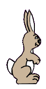 Hase ostern bilder