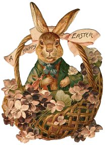 Hase ostern bilder