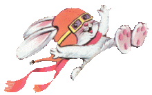 Hase ostern bilder